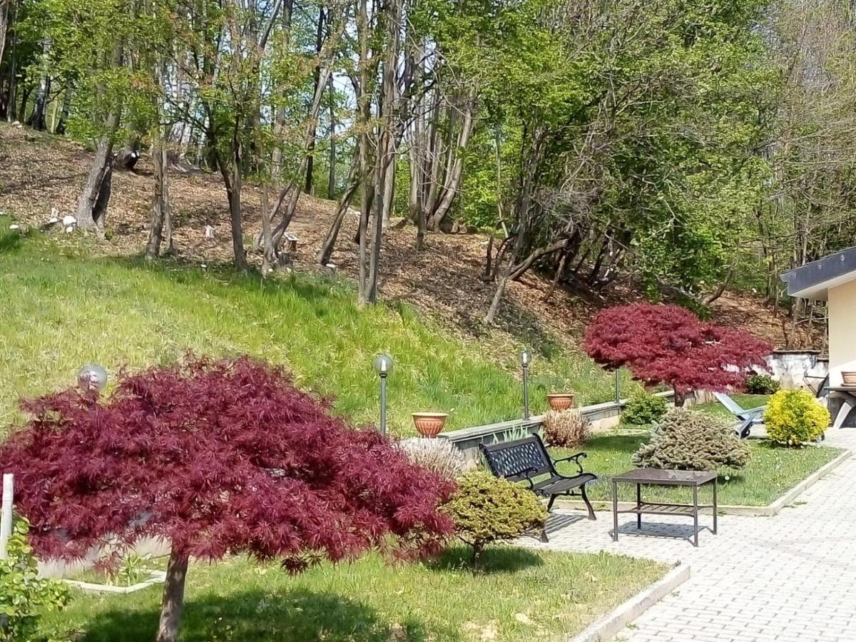 Appartamento La Casa nel Bosco Rueglio Esterno foto