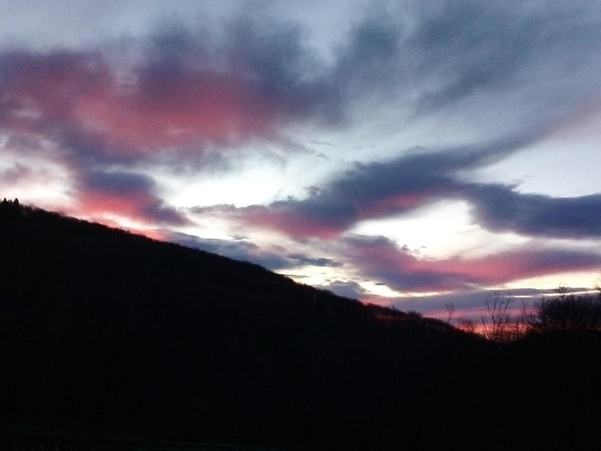 Appartamento La Casa nel Bosco Rueglio Esterno foto
