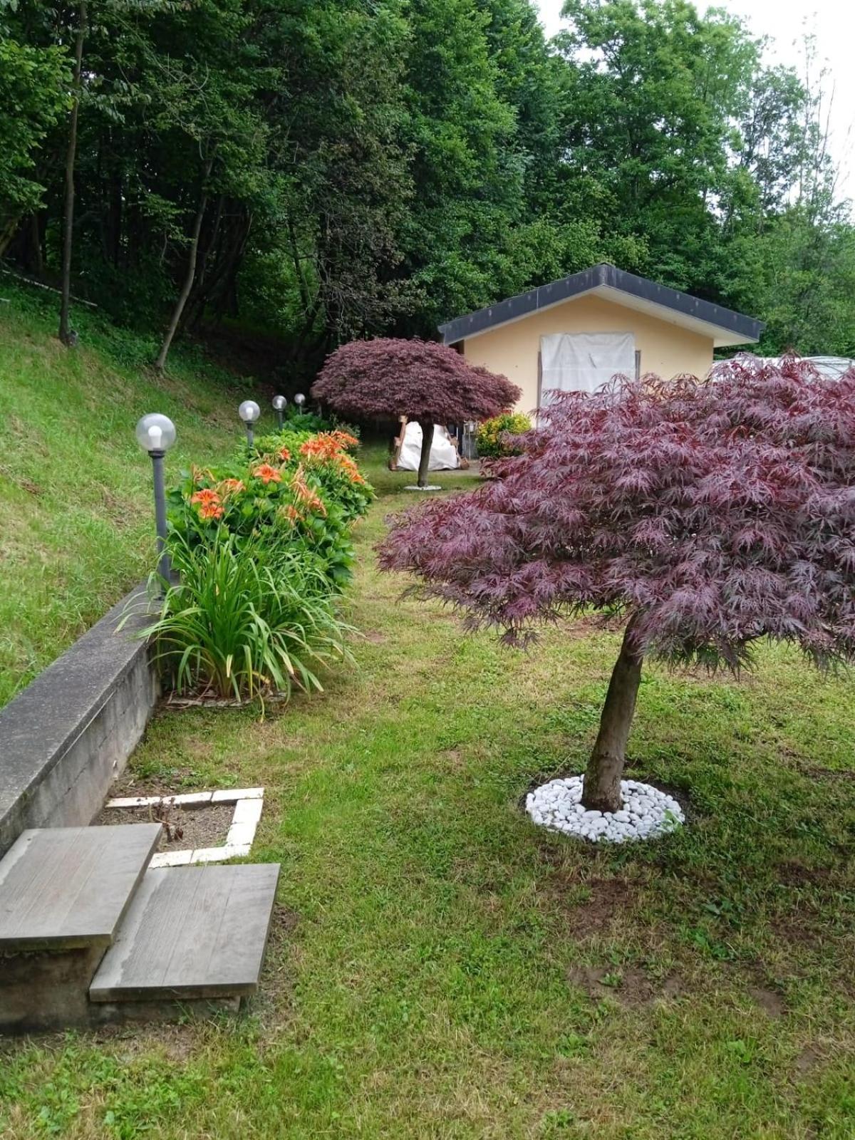 Appartamento La Casa nel Bosco Rueglio Esterno foto